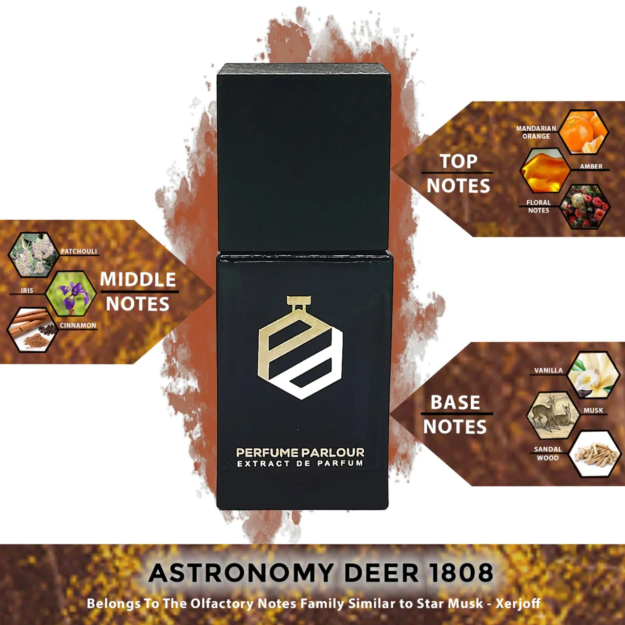 Astronomy Deer - 1808 - Image 2