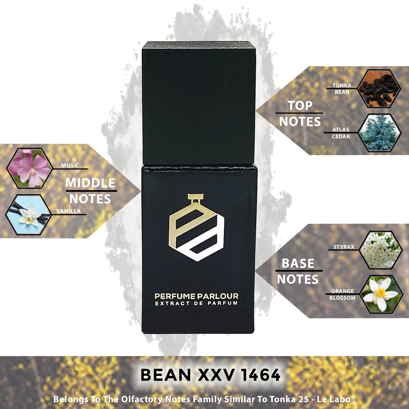 Bean XXV - 1464 - Image 2