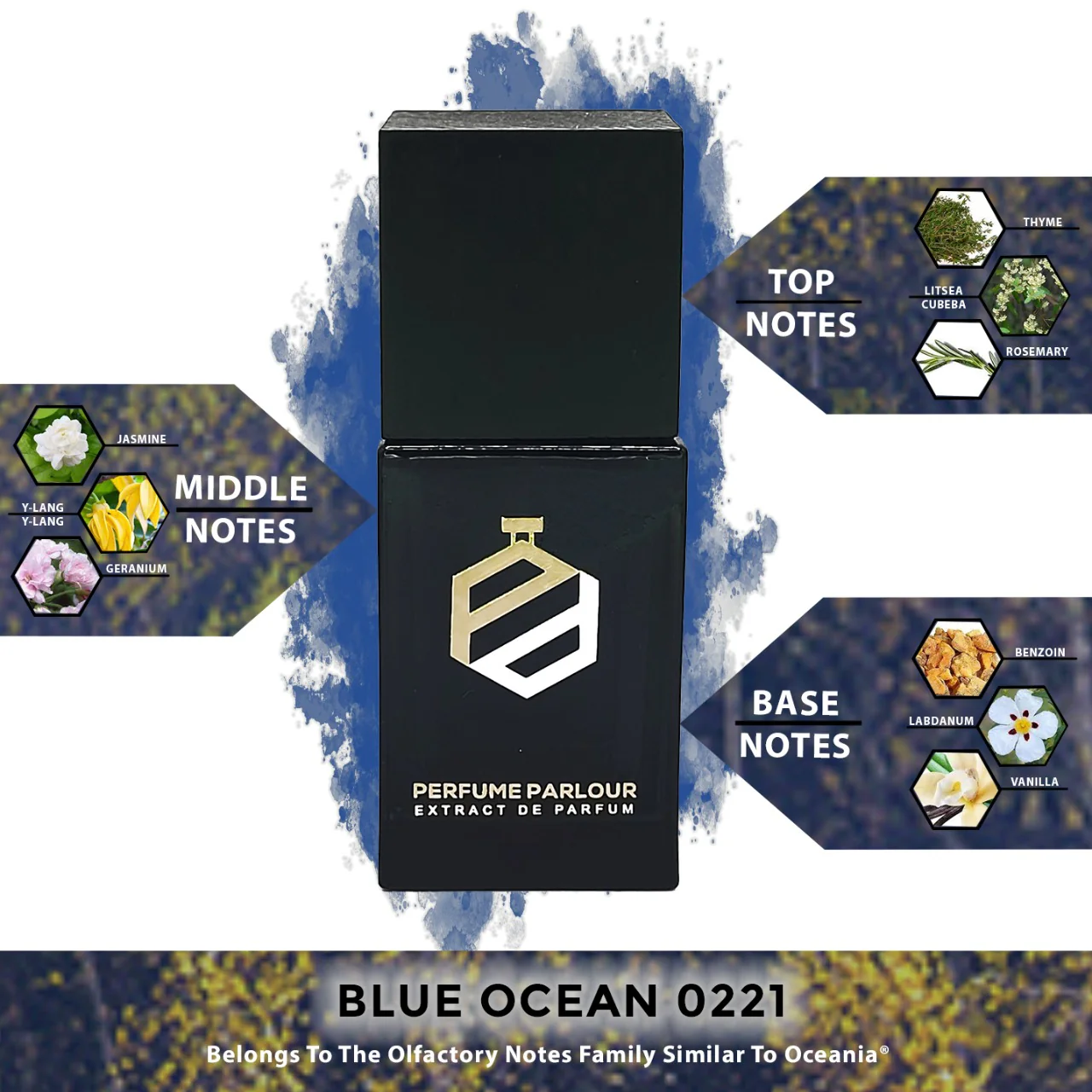 Blue Ocean - 0221 - Image 2