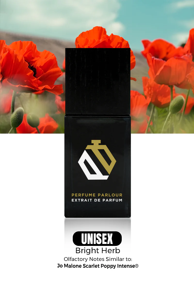Bright Herb - 0113 - Image 2