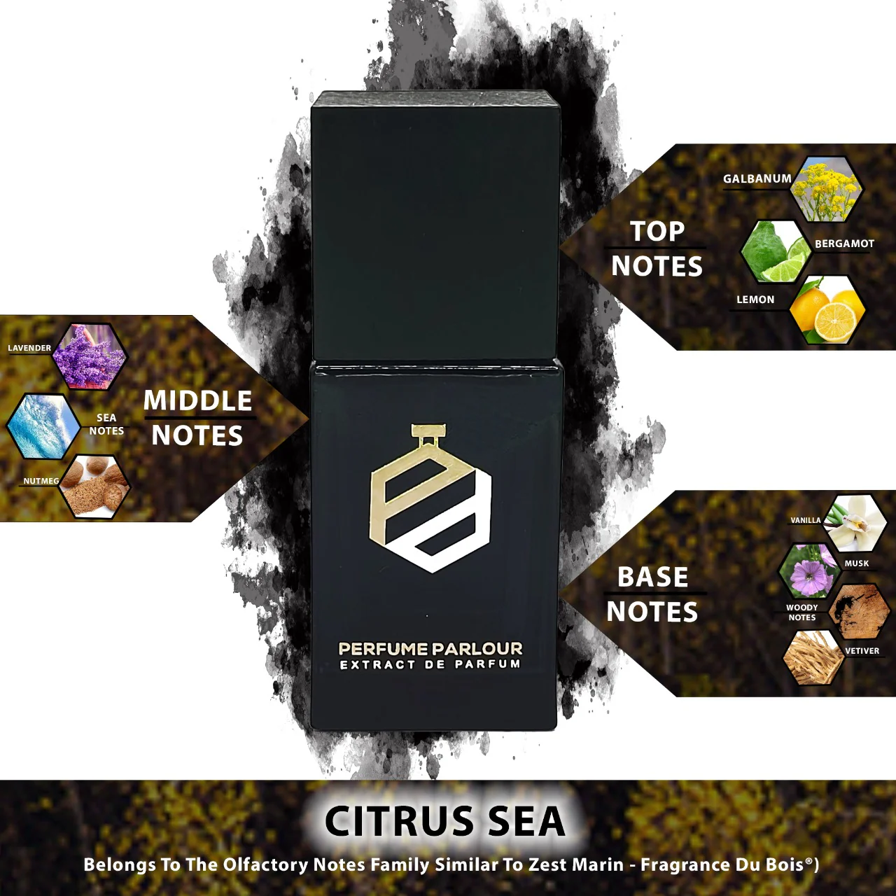 Citrus Sea - 0497 - Image 2