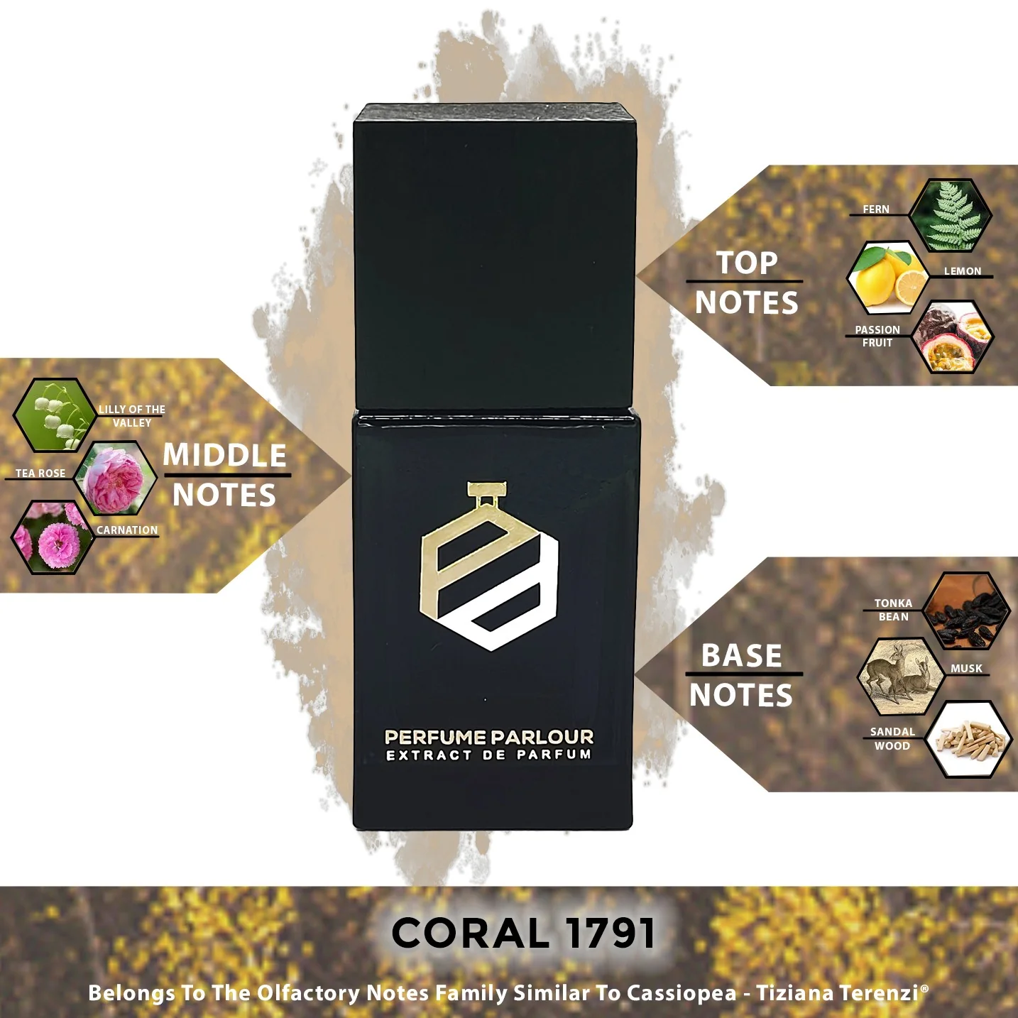 Coral - 1791 - Image 2