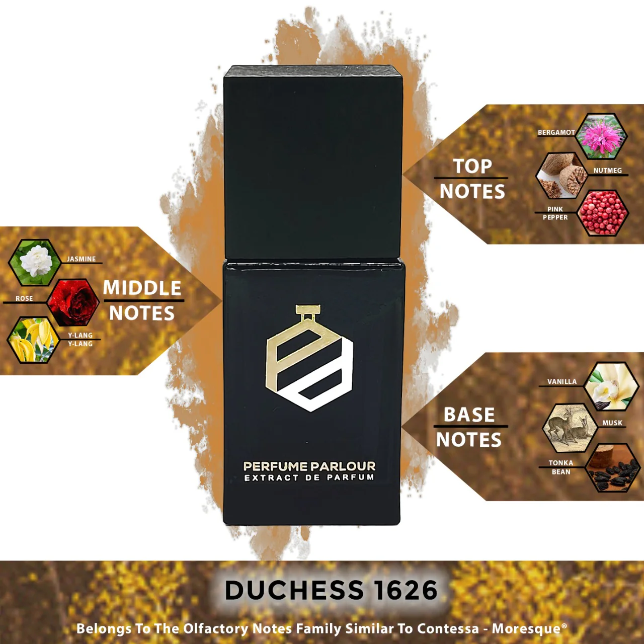 Duchess - 1626 - Image 2