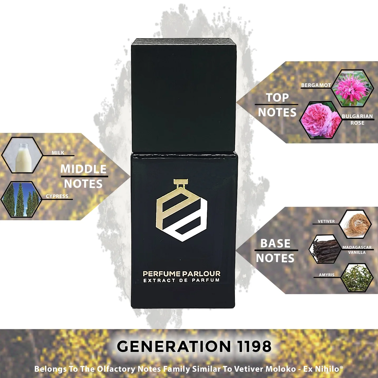 Generation - 1198 - Image 2