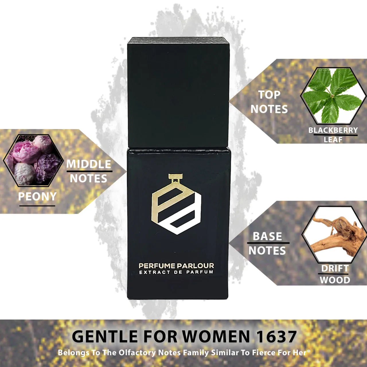 Gentle For Women - 1637 - Image 2