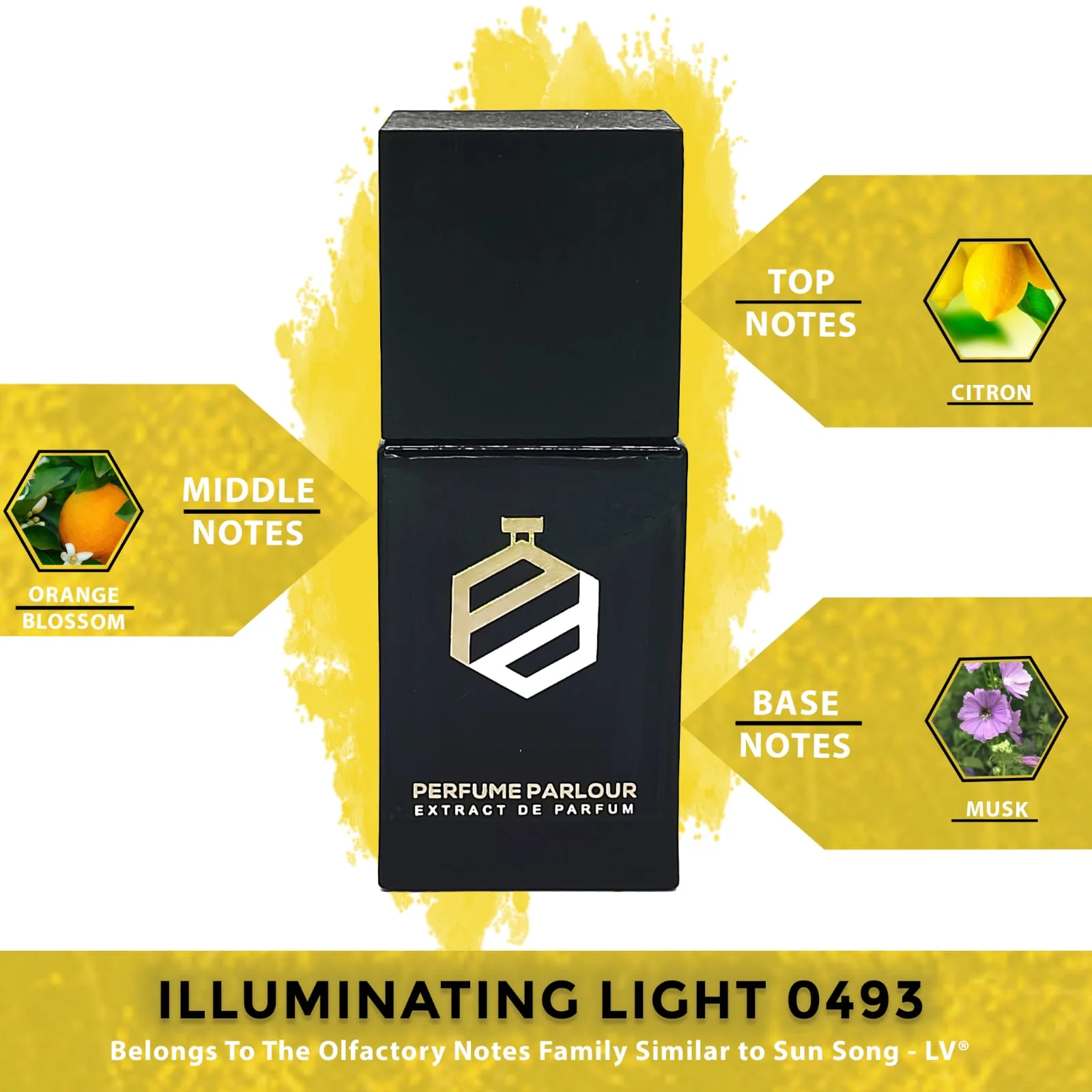 Illuminating Light - 0493 - Image 2