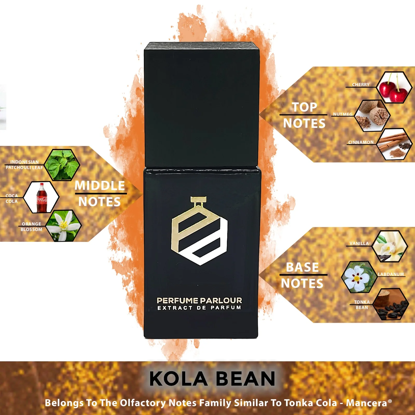 Kola Bean - 1803 - Image 2