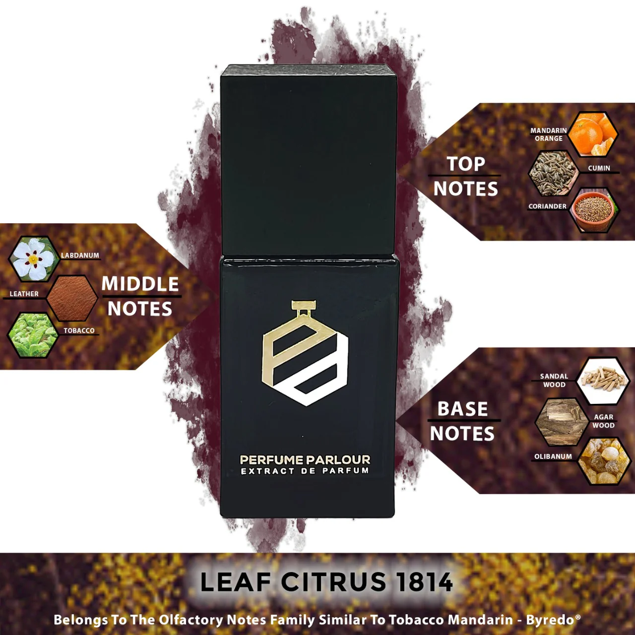 Leaf Citrus - 1814 - Image 2