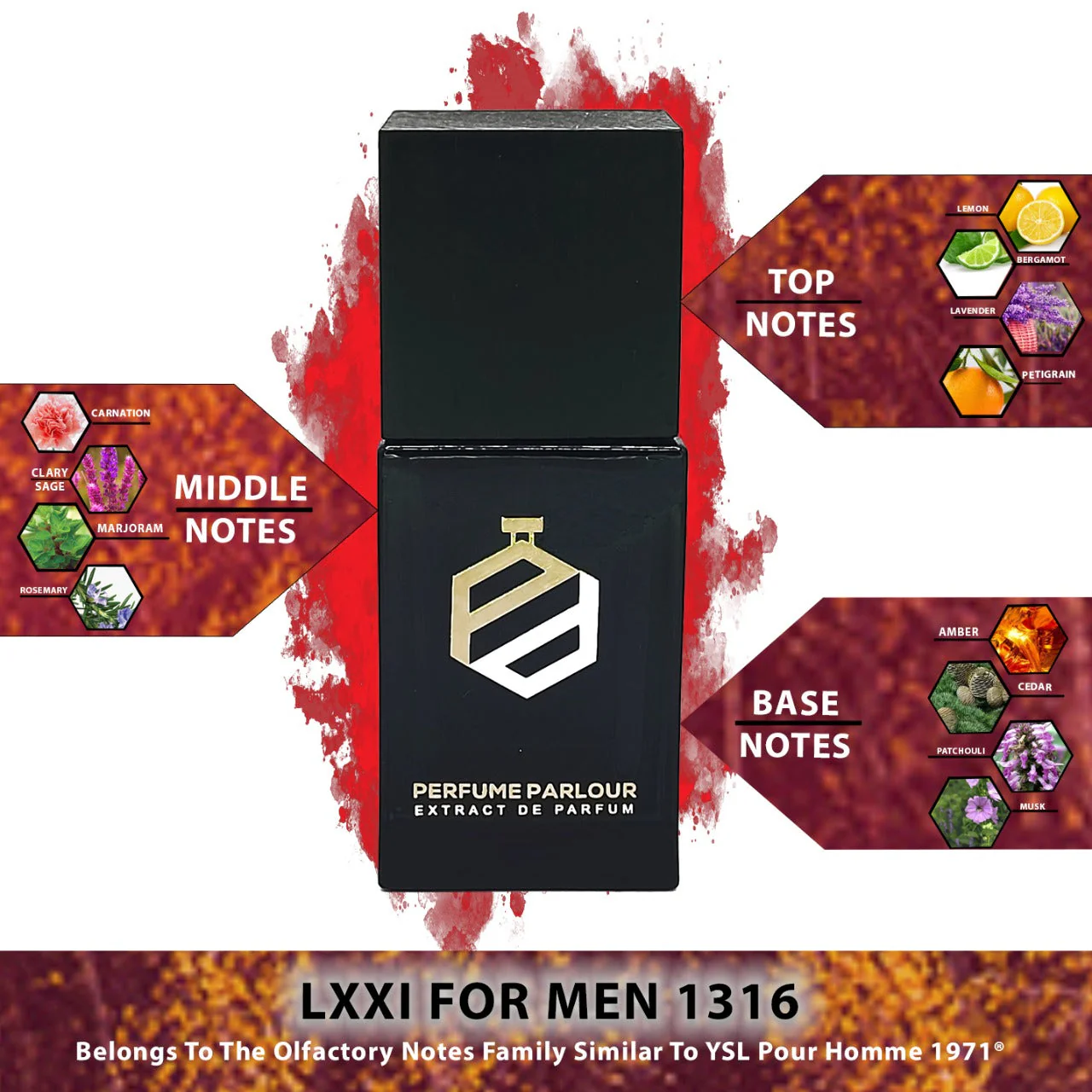 LXXI For Men - 1316 - Image 2