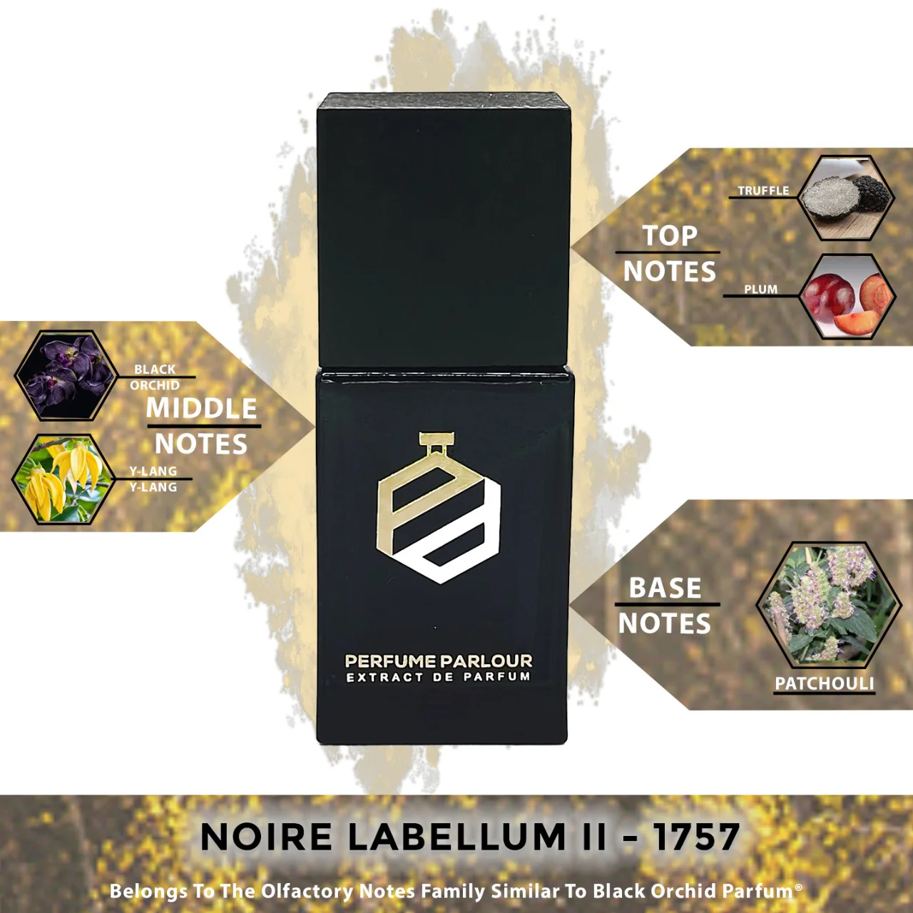 Noire Labellum II - 1757 - Image 2