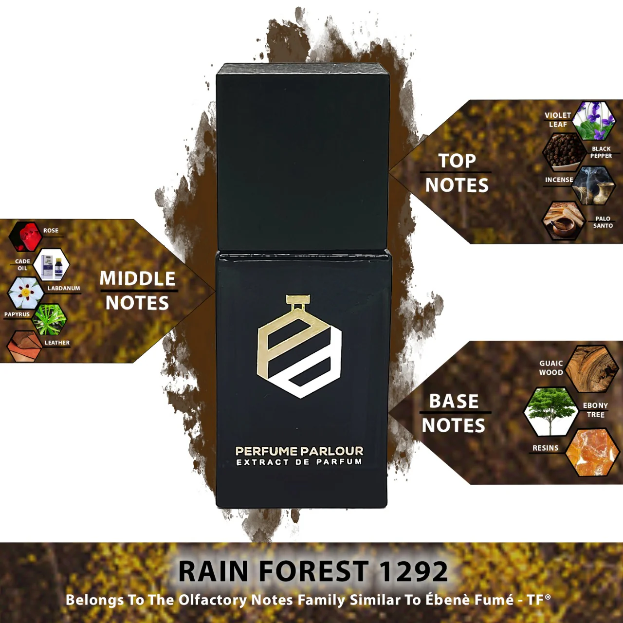 Rain Forest - 1292 - Image 2