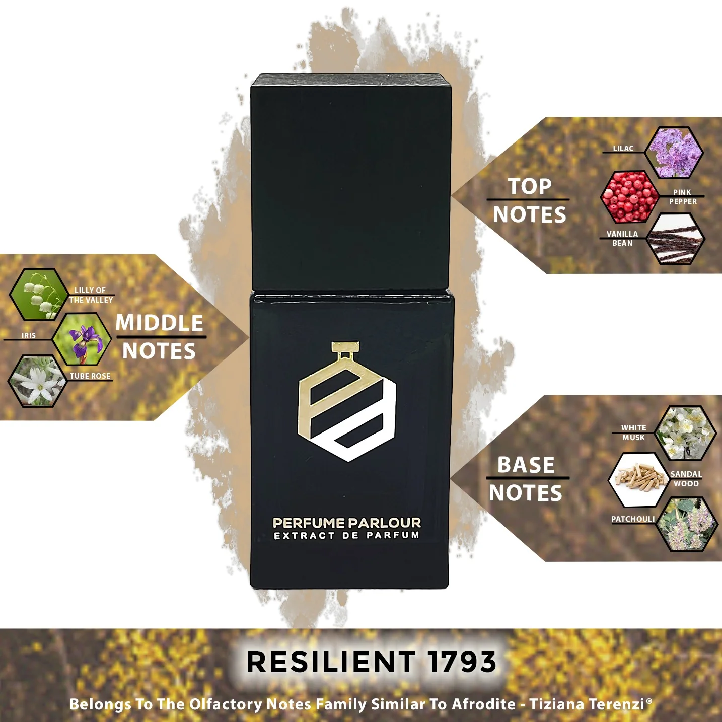 Resilient - 1793 - Image 2
