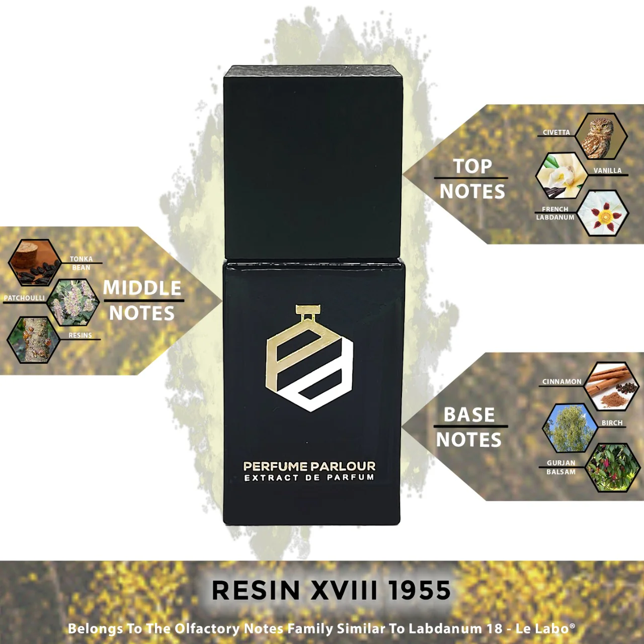Resin XVIII - 1955 - Image 2