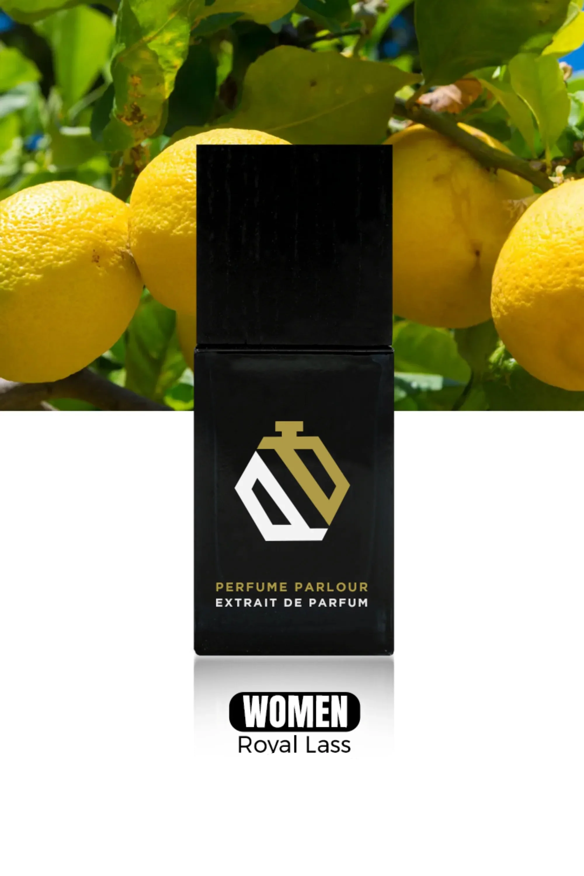Royal Lass For Women - 1205