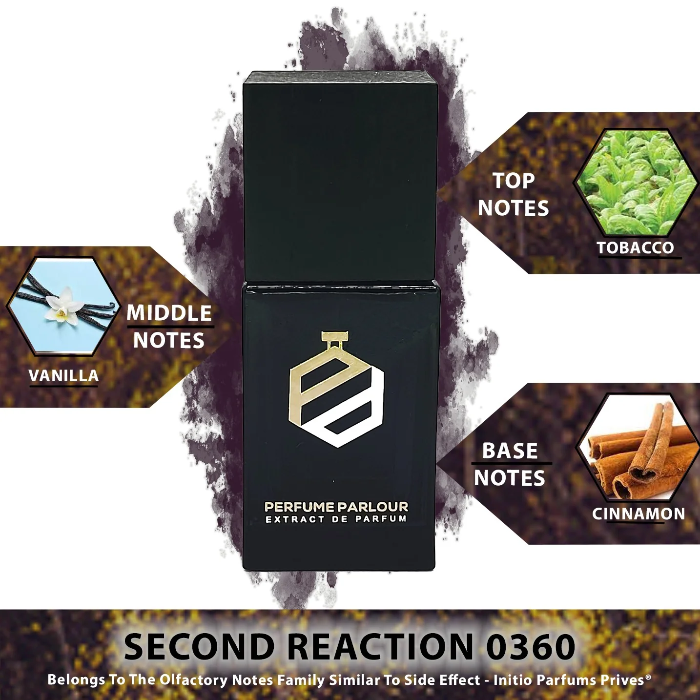 Second Reaction - 0360 - Image 4
