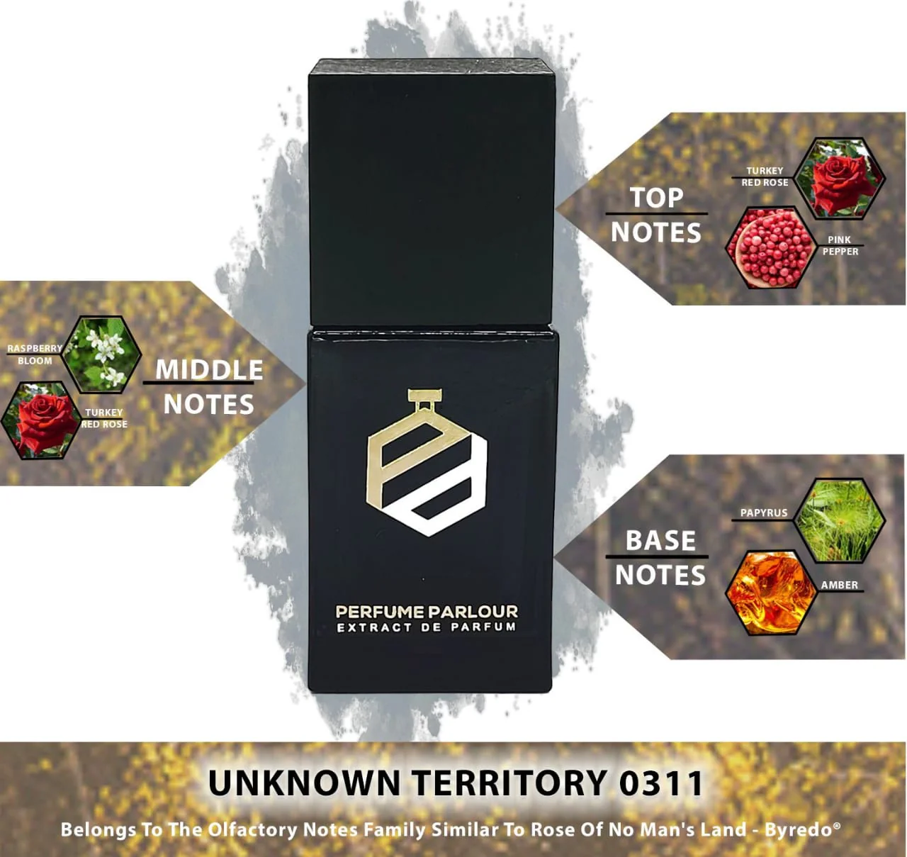 Unknown Territory - 0311 - Image 2