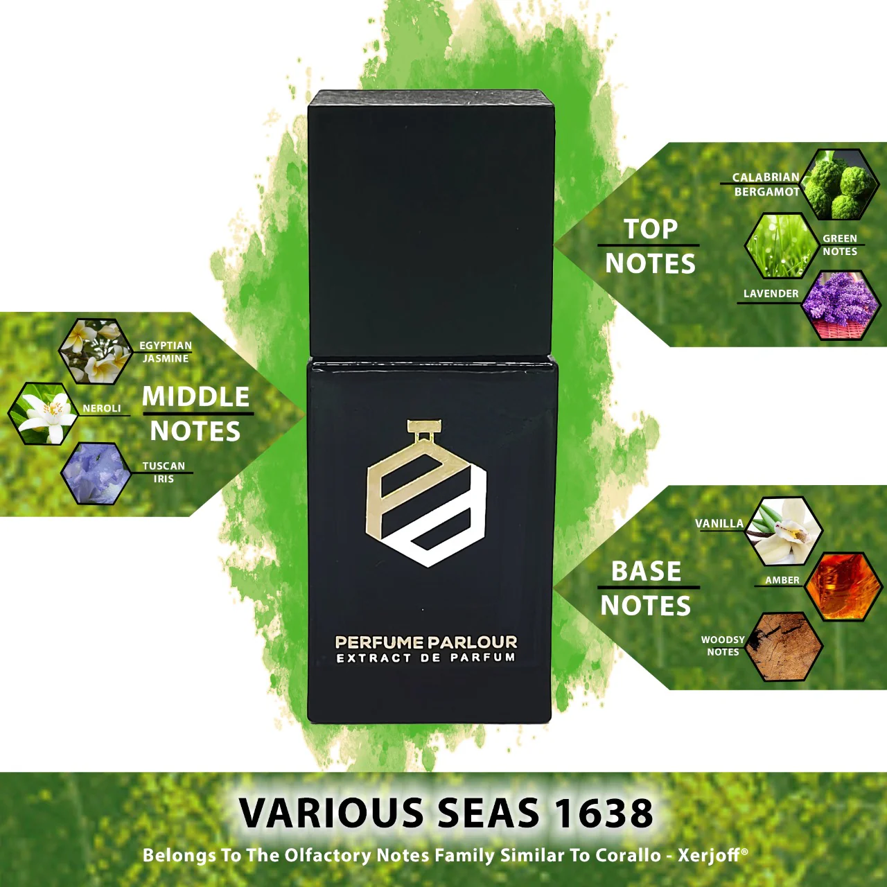 Various Seas - 1638 - Image 2