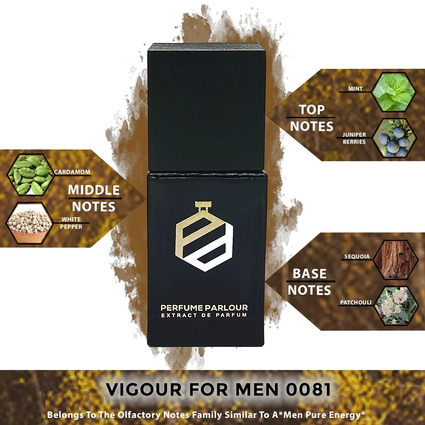 Vigour For Men - 0081 - Image 2