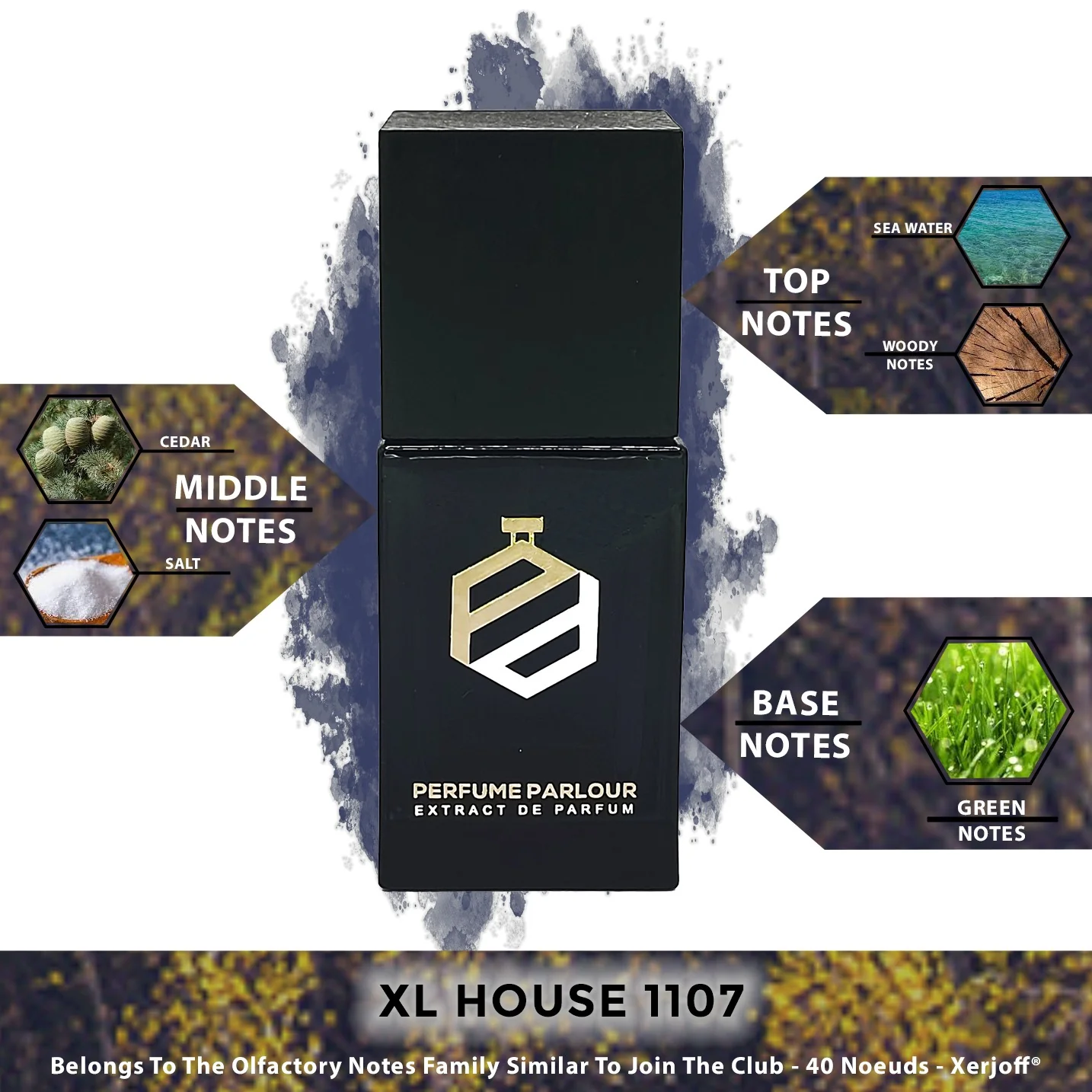 XL House - 1107 - Image 2