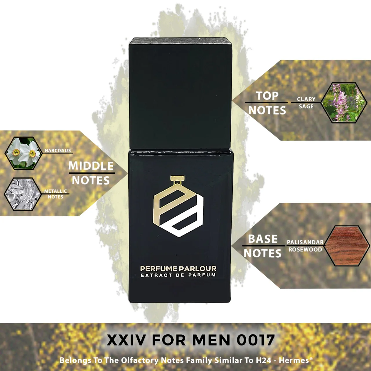 XXIV For Men - 0017 - Image 2